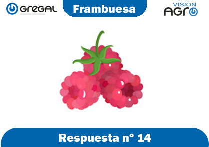 Frambuesa-respuesta-nº14-adivinanzas de frutas-erp-agro