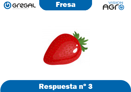 Fresa-respuesta-nº3-adivinanzas de frutas-erp-agro