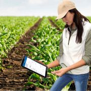 Banner Gestión de cultivos (Apps agricultura)